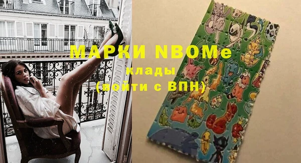 твердый Новодвинск