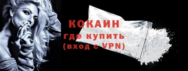 твердый Новодвинск