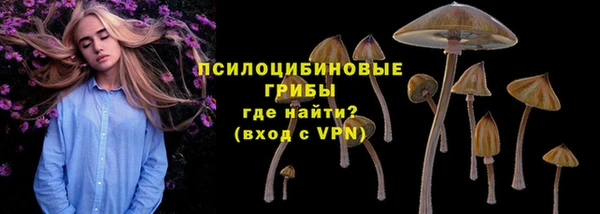 PSILOCYBIN Верхнеуральск