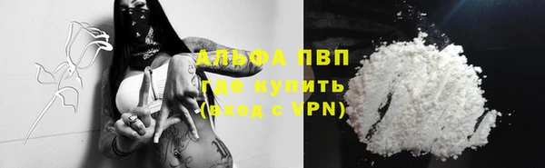 винт Новозыбков