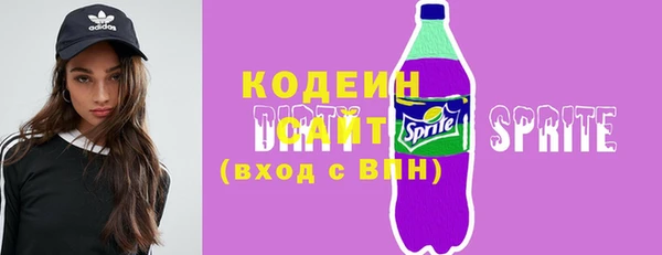твердый Новодвинск