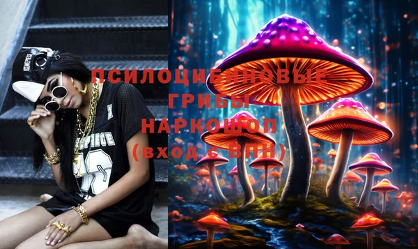 молекула духа Нефтекумск