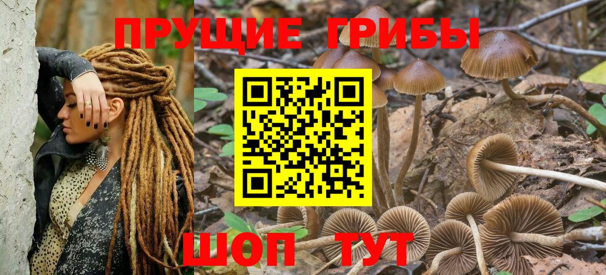 ГАШИШ Удомля