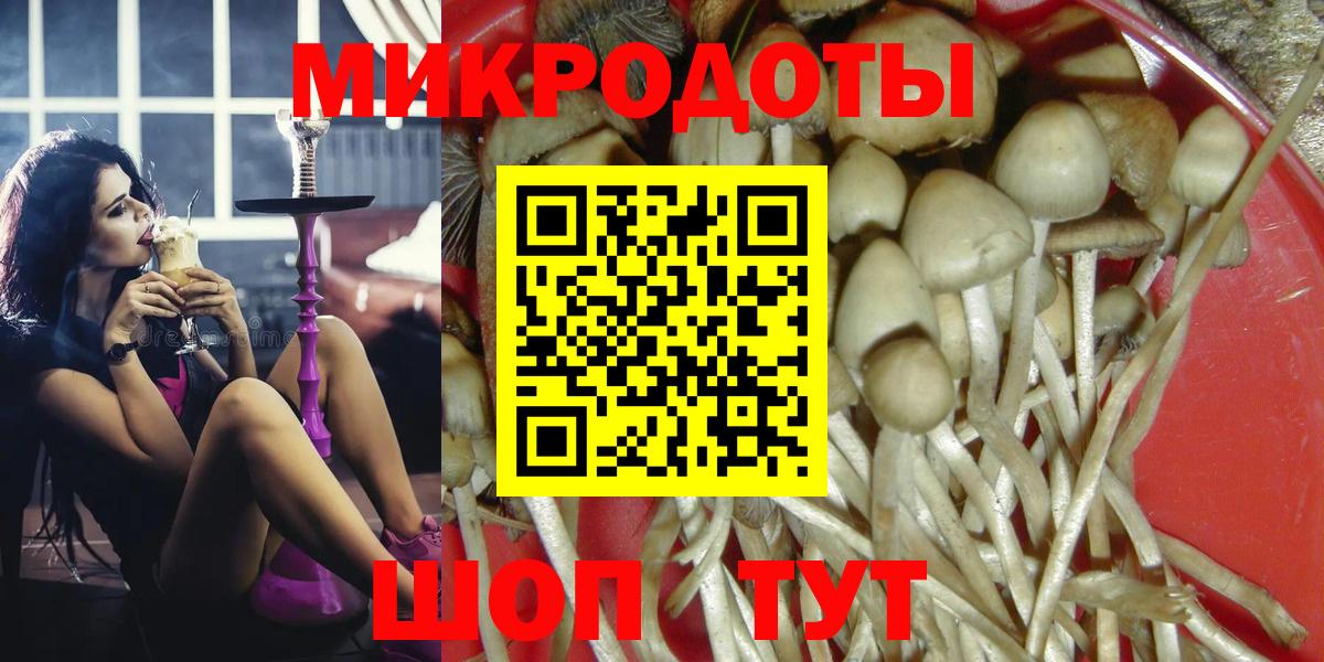 Галлюциногенные грибы Psilocybine cubensis  Вход с VPN  Удомля 
